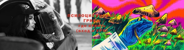 apvp Ельня