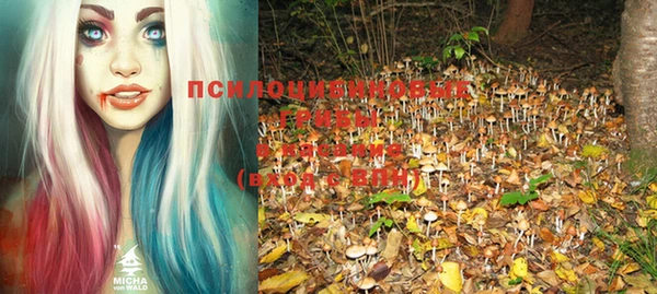мет Козельск