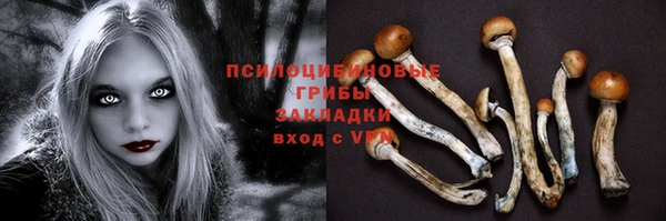 mdpv Балахна