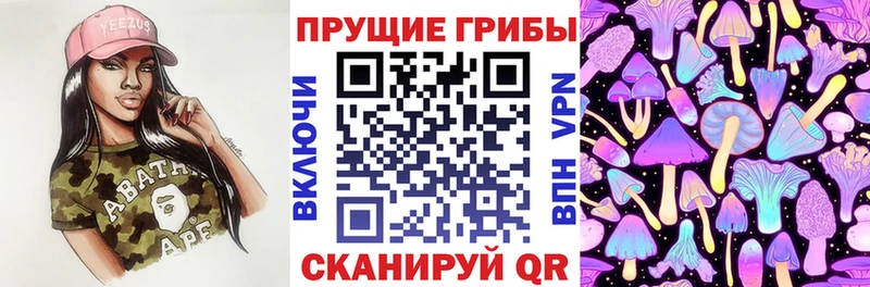 Псилоцибиновые грибы прущие грибы  kraken   Афипский 